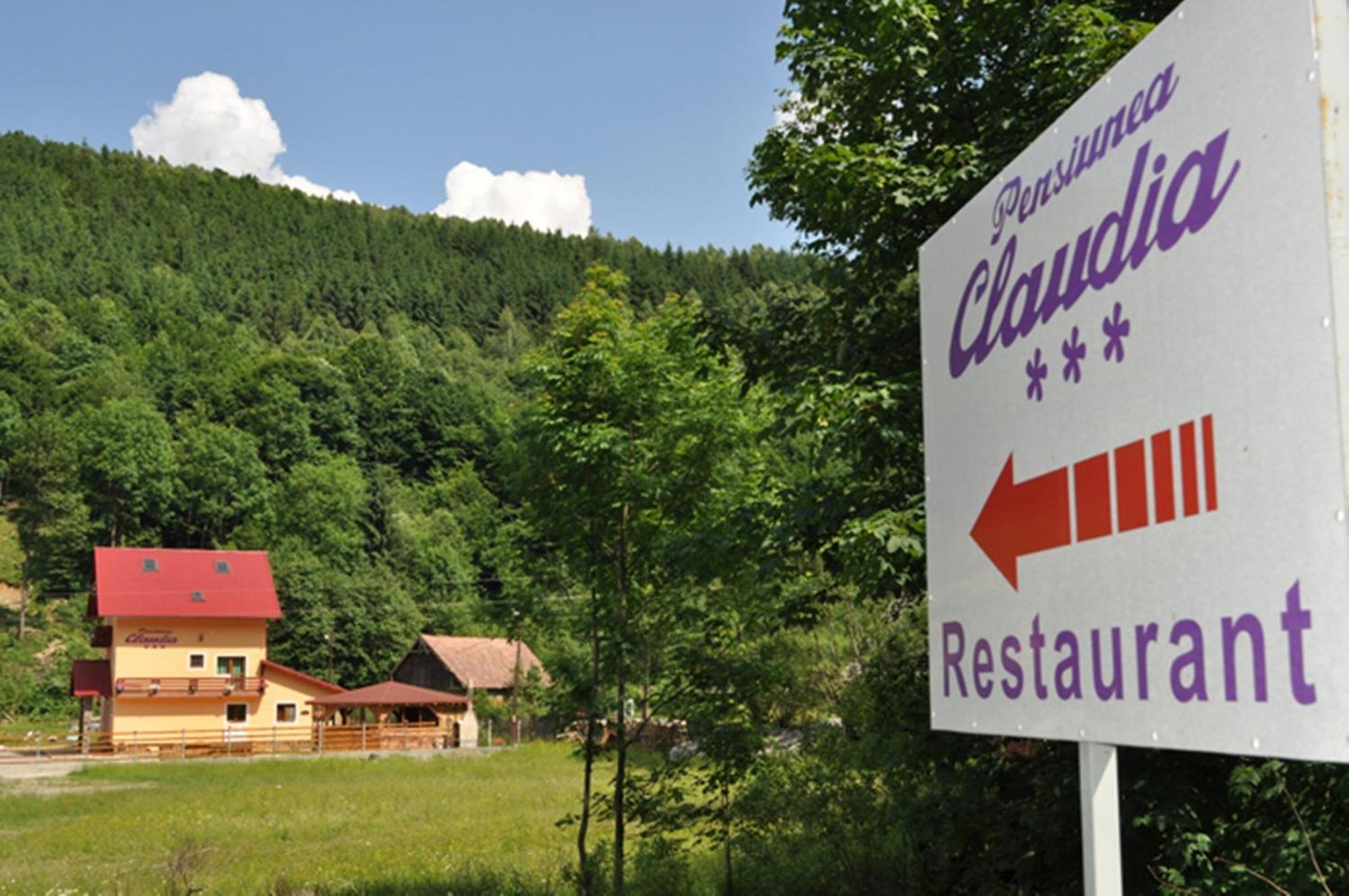 Scrind-Frăsinet 克劳迪娅旅馆酒店 外观 照片